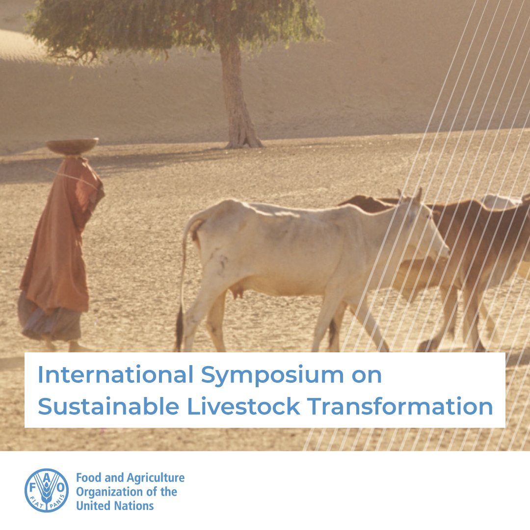 FAOLivestock's tweet image. Livestock is an integral part of the global food systems due to its contribution in poverty reduction, food security &amp;amp; socio-economic development

📅International Symposium on Sustainable Livestock Transformation
🕐18-19 July 2023
📌Anand, Gujarat, India
➡️tinyurl.com/2uajpn6b