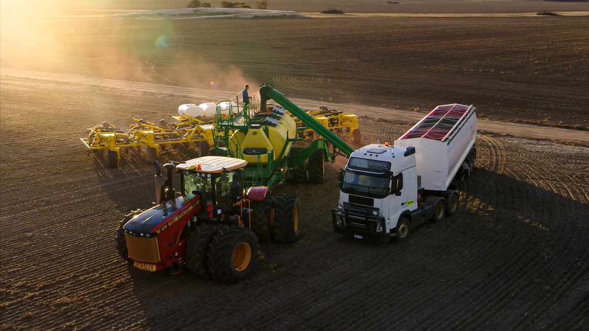 Seed Storm tweet media