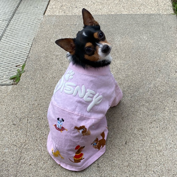 TK Renew tweet media