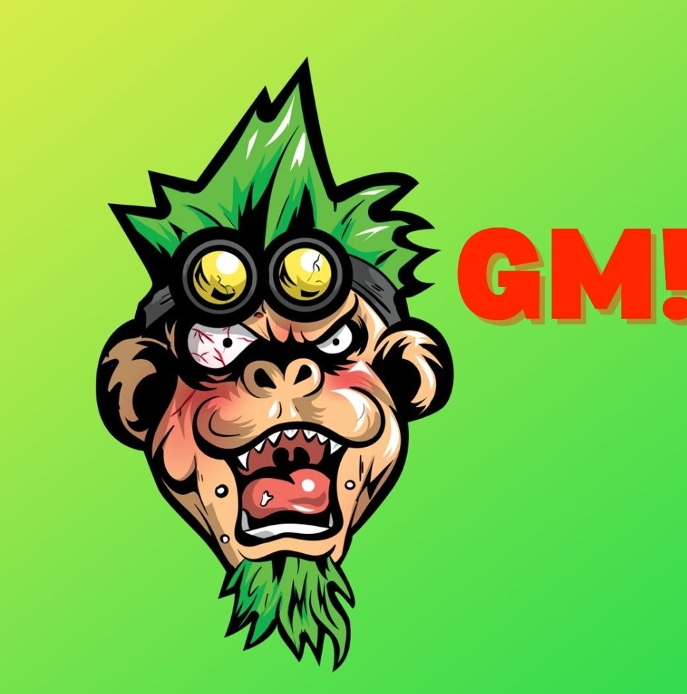 ✗StCHΛΞL tweet media