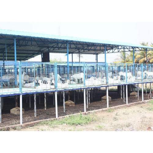 DCFAPakistan's tweet image. آجکل بکریوں کی فارمنگ کا شوق بڑھتا جا رہا ہے، لیکن بہت کم لوگوں کو اس حقیقت کا علم ہوتا ہے کہ 50 یا 100 بکریوں تک کا ریوڑ صرف اس آدمی کے لیے فزیبل ہے جس نے خود کام کرنا ہو اور اپنے گھر کے ایک حصہ میں بکریاں یا بھیڑیں پالنی ہوں اور چرا کر خوراک کا بڑا خرچ بچانا ہو -  ایسے افراد…