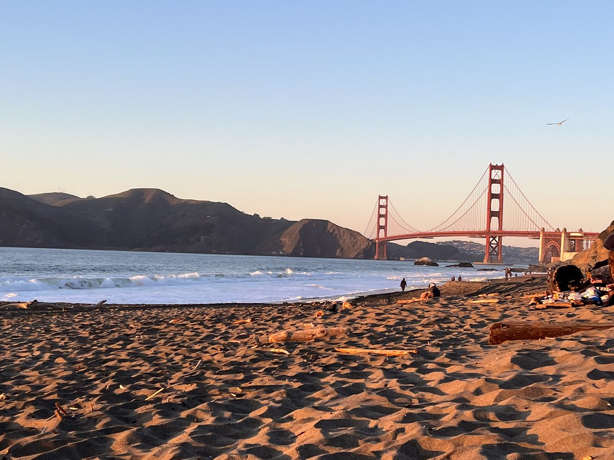 Charlotttiie10's tweet photo. Raleigh lab is hiring! 
Come join us in San Francisco for some sweet science and sick views! https://t.co/8NzLpanJEj