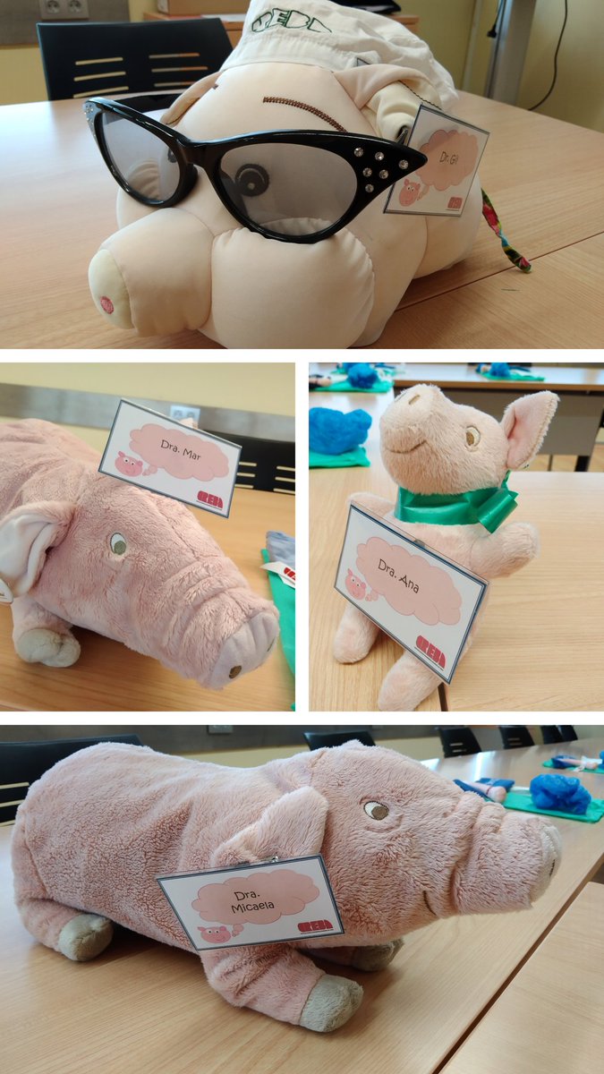 Els nostres monitors: Dra. Mar, Dra. Ana, Dra. Micaela i Dr. Gil 🐷🐷🐷🐷