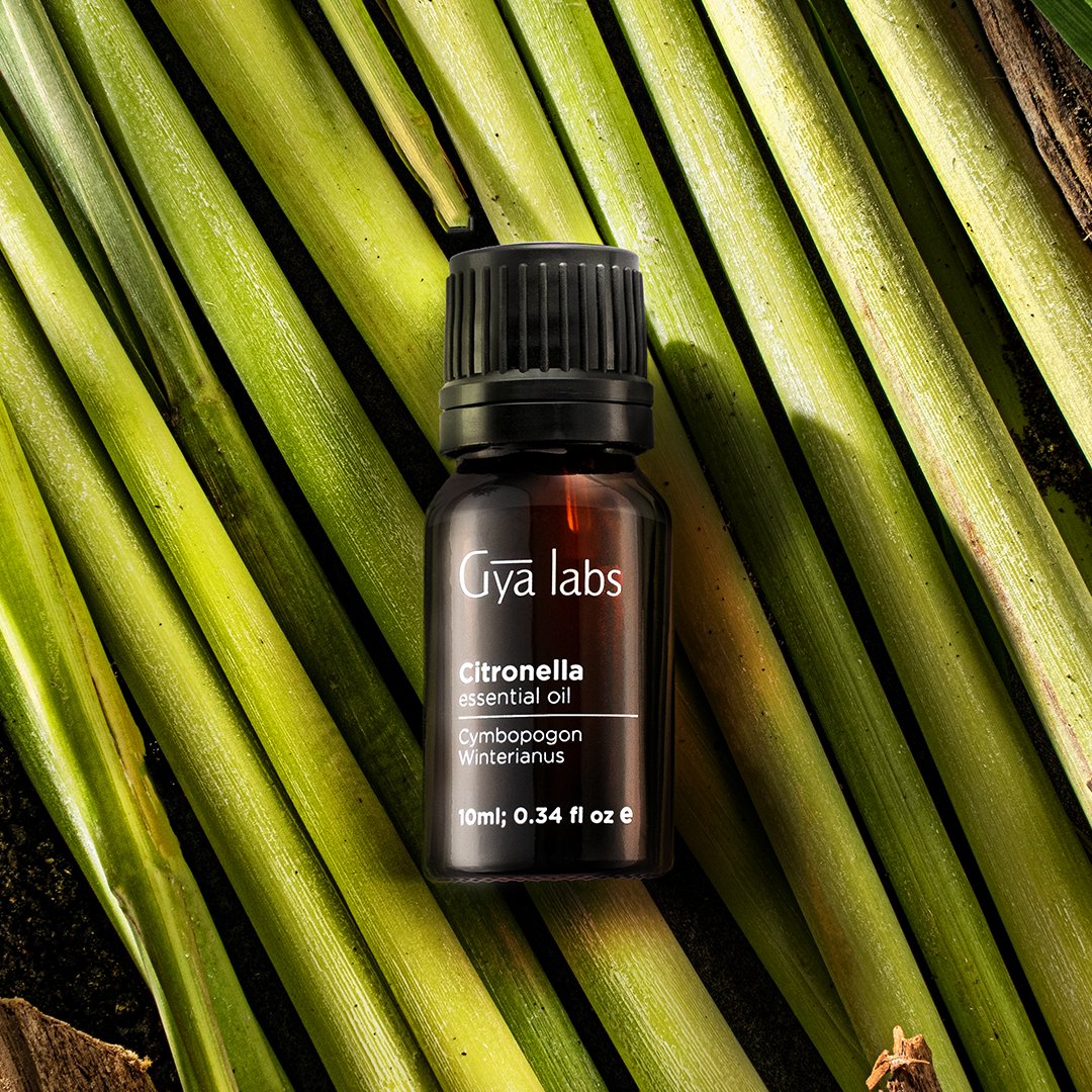 Gya_Labs's tweet photo. Experience the Natural Power of Citronella Essential Oil πΏβ¨
https://t.co/JZ4aGLsM7u
.
.
.
#GyaLabs #UpliftYourEveryday #CitronellaEssentialOil #NaturalPower #RefreshYourSpace #UpliftYourMind #EmbraceNature #EssentialOilBenefits #EssentialOils #NaturalRemedies #Aromatherapy https://t.co/xxckDQoDdd
