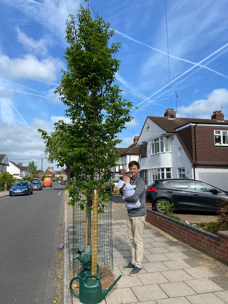 TreesforStreets's tweet image. Street trees an inconvenience?

We still meet people who think street trees are an inconvenience. With words like ‘heatdome’ &amp;amp; ‘flashflooding’  appearing more often in our weather reports, it’s all too clear that they are a necessity.

➡️Trees help protect us from extreme weather