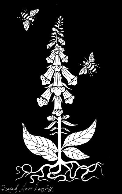 Ms_Wombat's tweet photo. Bees
You voluble,
Velvety
Vehement fellows
That play on your
Flying and
Musical cellos,
Come out of my
Foxglove; come
Out of my roses
You bees with the
Plushy and
Plausible noses!
#poem N.R. Gale
#bees #rhyme #versify
#art Sarah Anne Lawless https://t.co/7jIECoi2yH