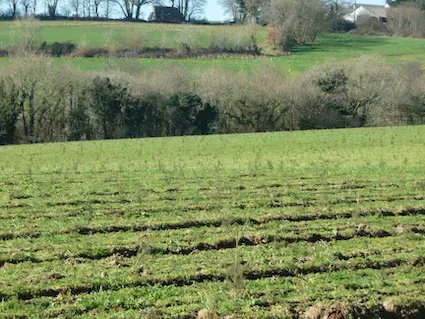 Appel à projets – Label Bas Carbone ♻️
Fransylva Services développe de nombreux partenariat pour financer des travaux sylvicoles améliorant le puit de carbone forestier🌱🌳 
Propriétaires forestiers, pour en savoir plus et pour déposer un dossier 👇 buff.ly/44B5DJU