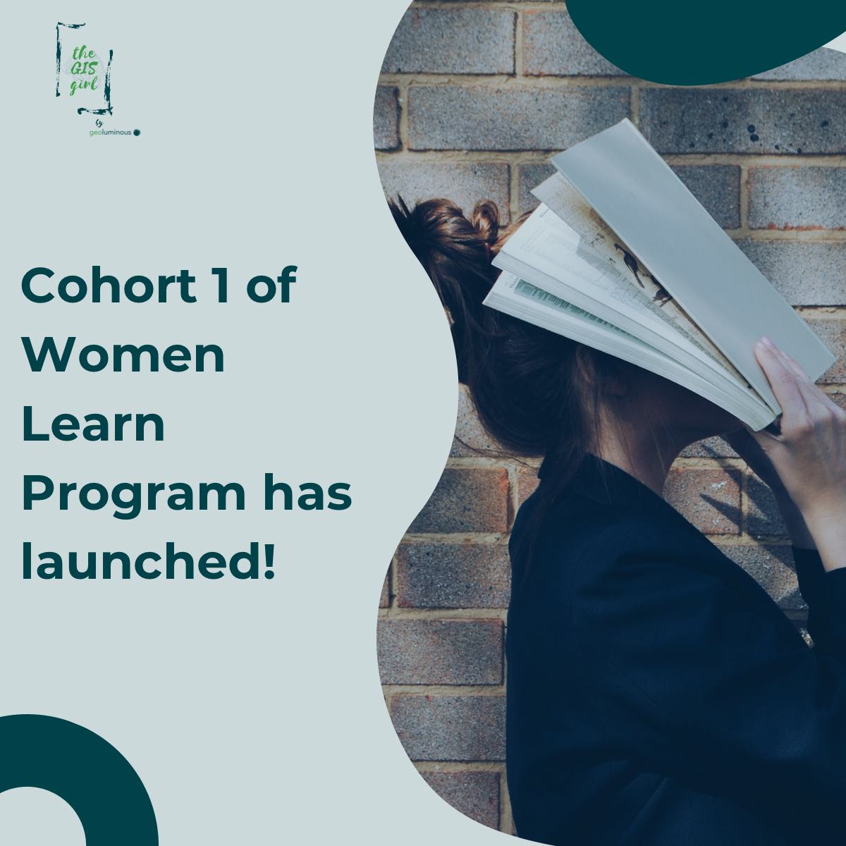 The GIS Girl | Geo Virtual Academy & Resources tweet media