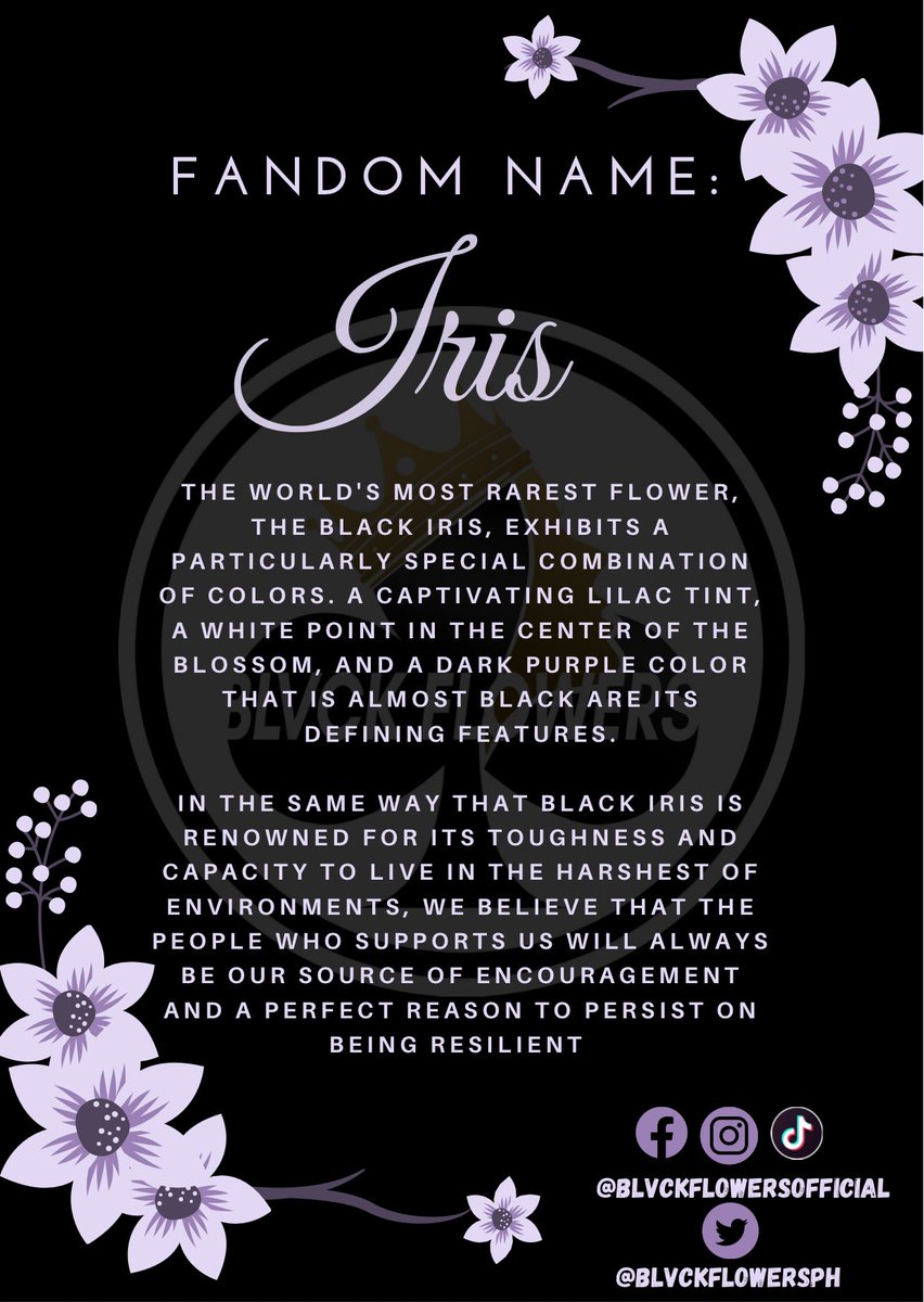 [ANNOUNCEMENT: OFFICIAL FANDOM NAME ‼️]

You can be a part of our growing family by following our official Fanpage on all social medias:

Facebook: Iris Philippines
Instagram: Iris Philippines
Twitter: @IrisPHofc 

#blvckentertainment #blvckflowersofficial