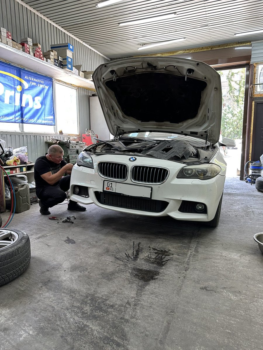 Meerim T. tweet media