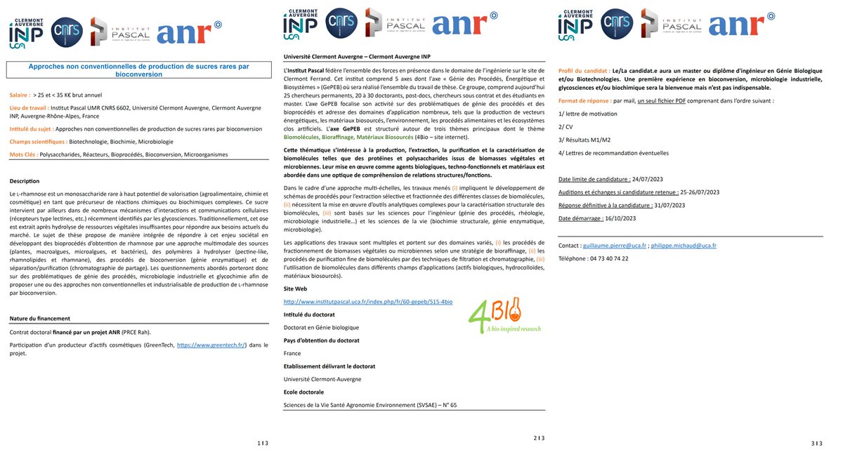 Une offre de thèse concernant la production de sucres rares par bioconversion est disponible <a href="/UCAuvergne/">UCA</a>