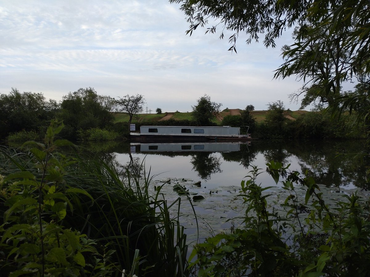 Alf Köhn-Seemann tweet media