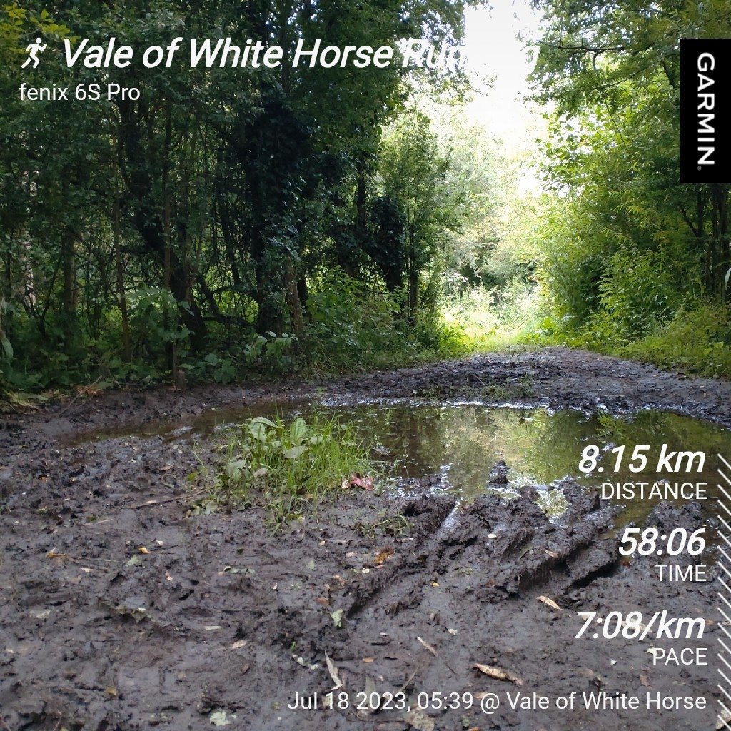 Alf Köhn-Seemann tweet media