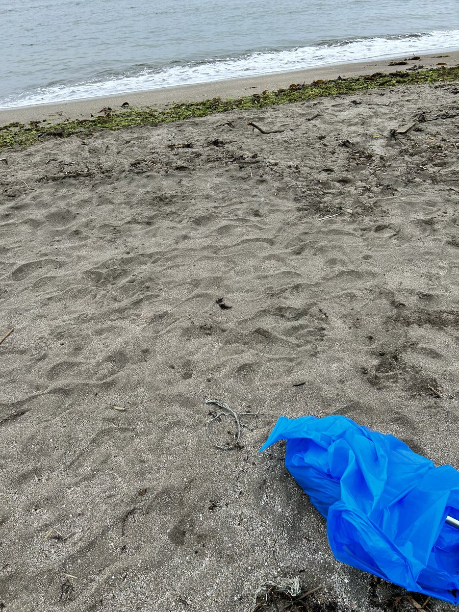 ataro01's tweet photo. 改めて「ビーチデイ」の思い出を。
#ジオラ
#THEbeachDAY #銭函フェス #air_g
#無水チキンカレーとチキンケバブ https://t.co/LPaAkwxrJK