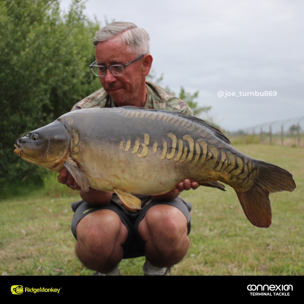 RidgeMonkey's tweet photo. Joe Turnbull landed these lovely mirrors recently fishing at 25 wraps in a weedy situation, Joe made sure he dropped his lead and used our APE-X sized 4 Beaked Point Hooks and SubZero Lead-Free Leader to land the fish. 

Great Stuff Joe 💪

#RidgeMonkey #Carp #CatchReport https://t.co/KJsKisx8kb