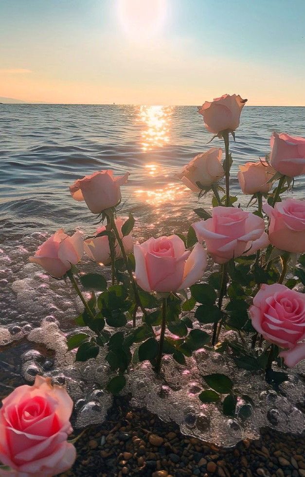 Loeka02's tweet photo. Morning .. Tuesday .. https://t.co/EIbfUGXoGo