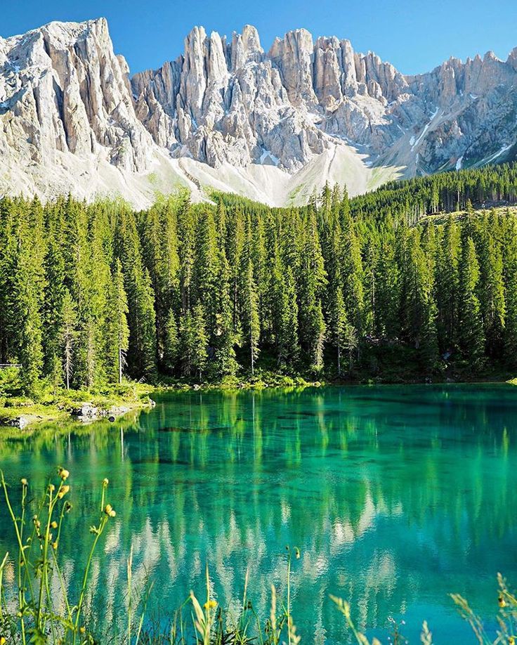 Beautiful 💚🏔️