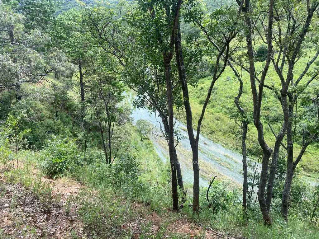 PropertyZw's tweet photo. Farm &amp; Agricultural Land for Sale in Nyanga | US$250,000  https://t.co/gE4WbrqiRc https://t.co/uw0KvOrANB