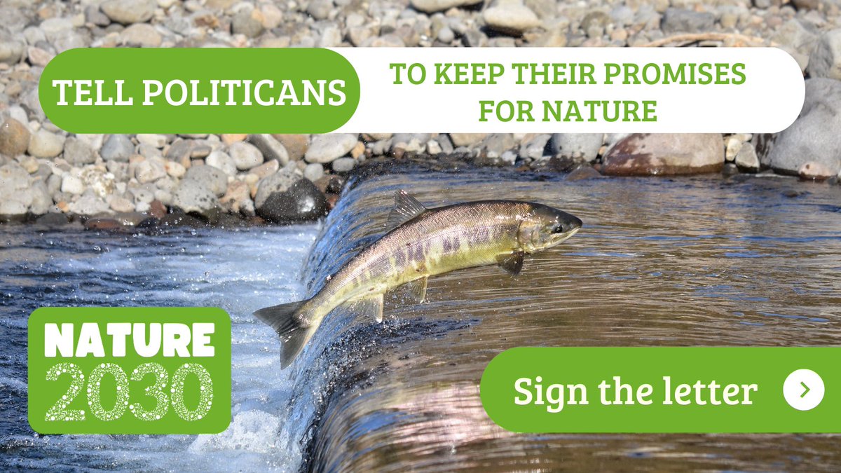 Good morning, we're asking for your help. Tell politicians to keep their promises for nature! 

Wild Justice are proud to be standing alongside 80 (!) charities asking leaders to back 5 commitments to nature. 

Add your name to the #Nature2030 open letter: tinyurl.com/ycx3js99