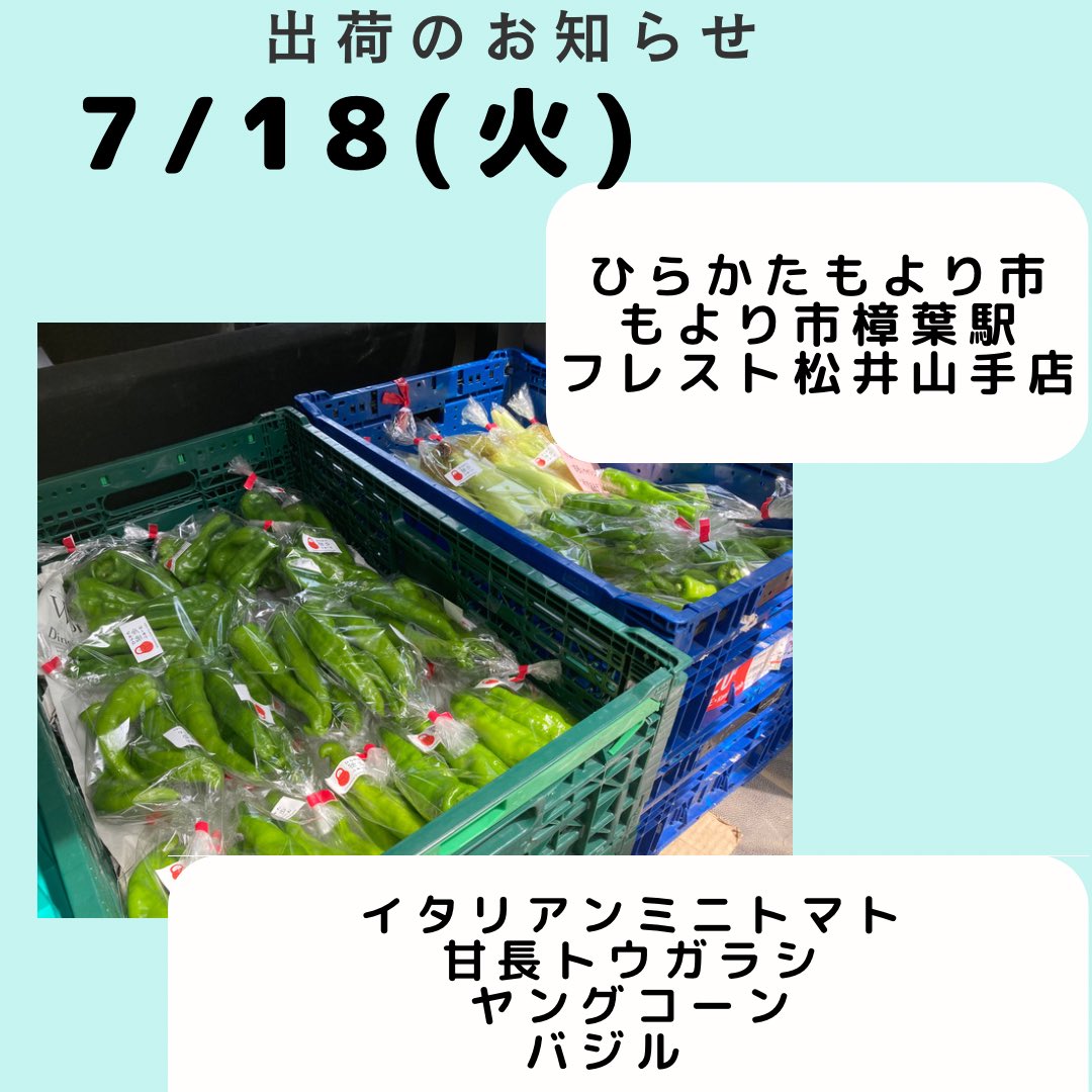 doppo_farm's tweet photo. 今週も新鮮ないお野菜出荷いたしました！
今週は甘長トウガラシ、イタリアンミニトマト、バジル、ジャガイモ、ヤングコーンなどを出荷しております。
赤タマネギは今季最終となりますのでお見逃しなく！
#ひたらかた独歩ふぁーむ
#枚方
#穂谷
#野菜 https://t.co/m52nuWBa6e