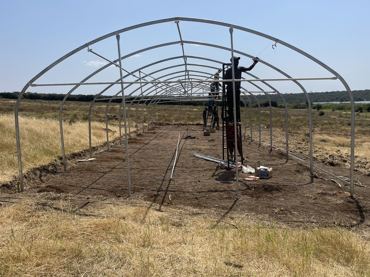 NdegoFarm's tweet photo. Installation of the water filtration system at Ndego Farm in Rwanda. This purifies the water prior to it supplying the nursery, greenhouses and farm structures. #greenhouse #farming #tomatoes #agribusiness #Rwanda https://t.co/ZVqwTPikd0