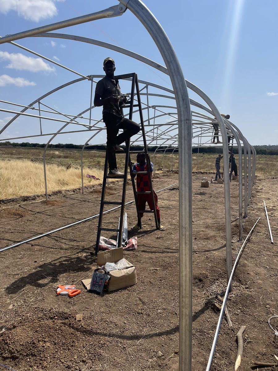 NdegoFarm's tweet photo. Installation of the water filtration system at Ndego Farm in Rwanda. This purifies the water prior to it supplying the nursery, greenhouses and farm structures. #greenhouse #farming #tomatoes #agribusiness #Rwanda https://t.co/ZVqwTPikd0