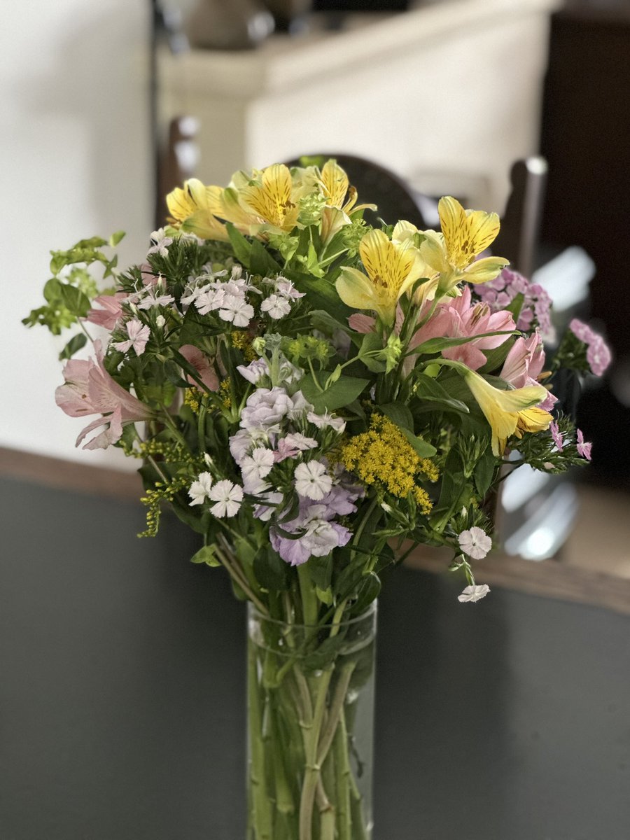 Lesley_Long1's tweet photo. I love @BloomandWild flowers! I was lucky enough to receive these on my birthday last week - they have opened beautifully and bring joy every time I see them. https://t.co/AMbGOPNVEM