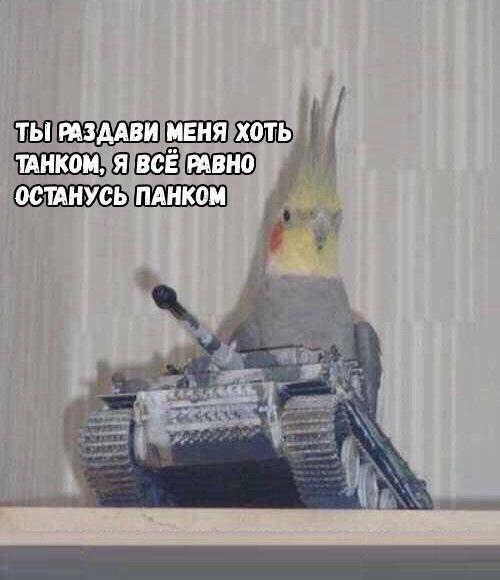 дирижабль делает скриншот tweet media