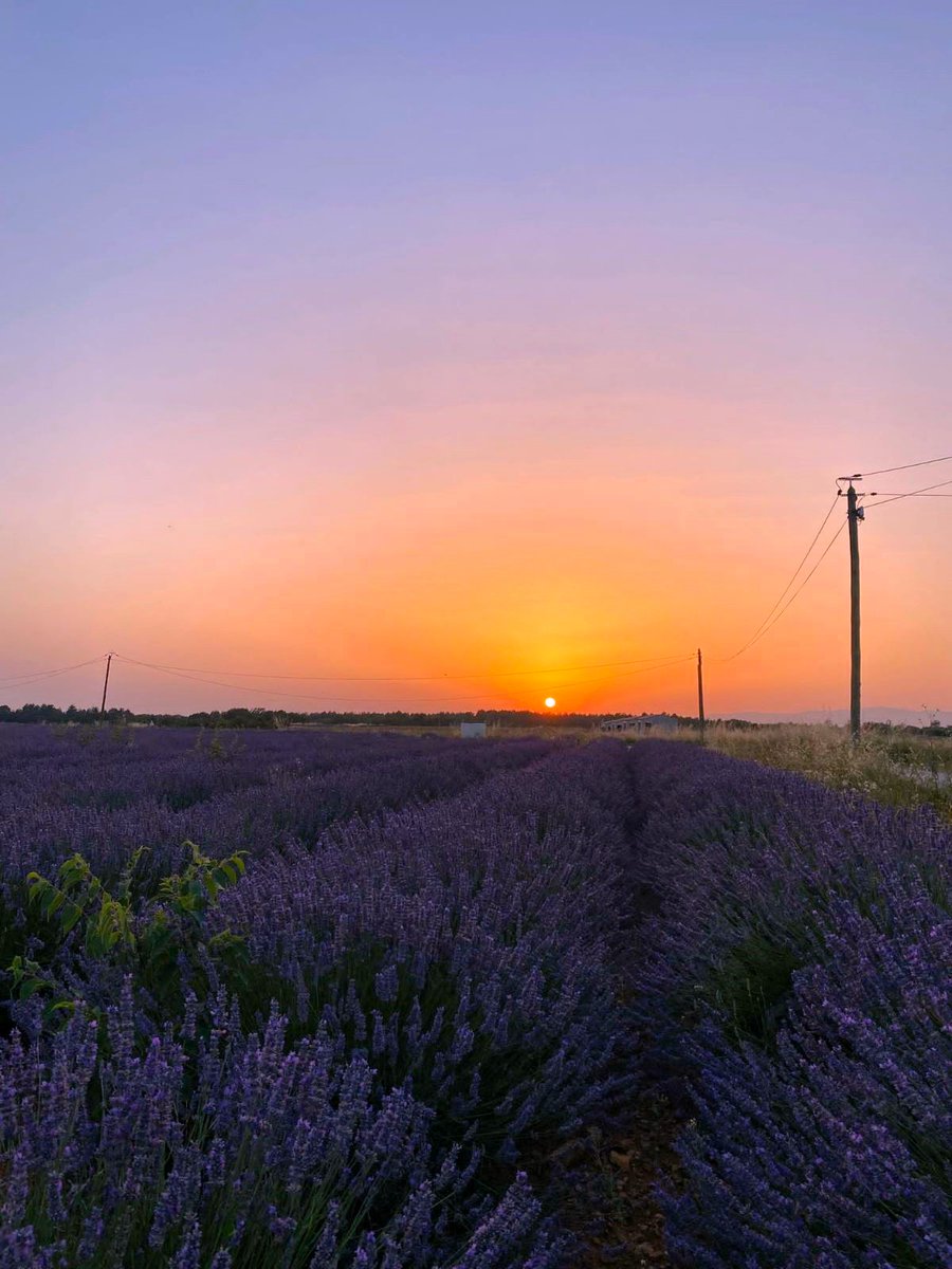 campingcarpark's tweet photo. Coucher de soleil depuis la nouvelle aire CAMPING-CAR PARK de #Puimoisson, inaugurée avant-hier soir🤩

Merci à M. le Maire Fabien Bonino, à ses élus, à M. Jean-Frédéric Gonthier, Directeur de l'Office de tourisme Durance Luberon Verdon, et aux camping-caristes présents ! ☀️ https://t.co/SgVK1ODPPw