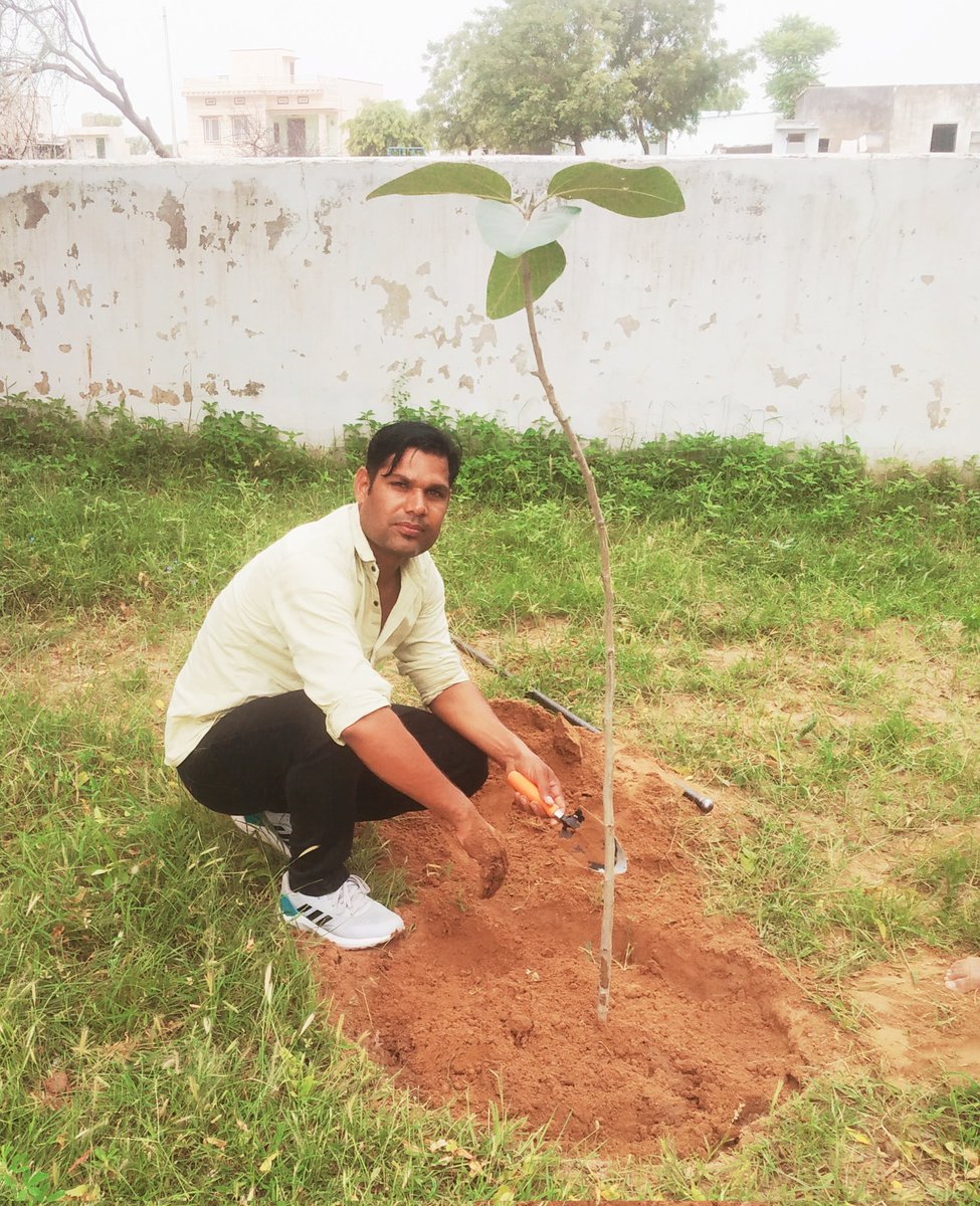 🌴🌲🌴🌱🌱🌱🌴🌴
पर्यावरण की सुरक्षा में थोड़ा सा फर्ज निभाते हैं ,
चलो हम भी एक पेड़ लगाते हैं !
🌳🌴🌳🌱🌿

🌴🌱आज विद्यालय में एक बरगद का पेड़ लगाया ।🌱🌴
#environment <a href="/NCsheela1/">Nemi Chand</a>