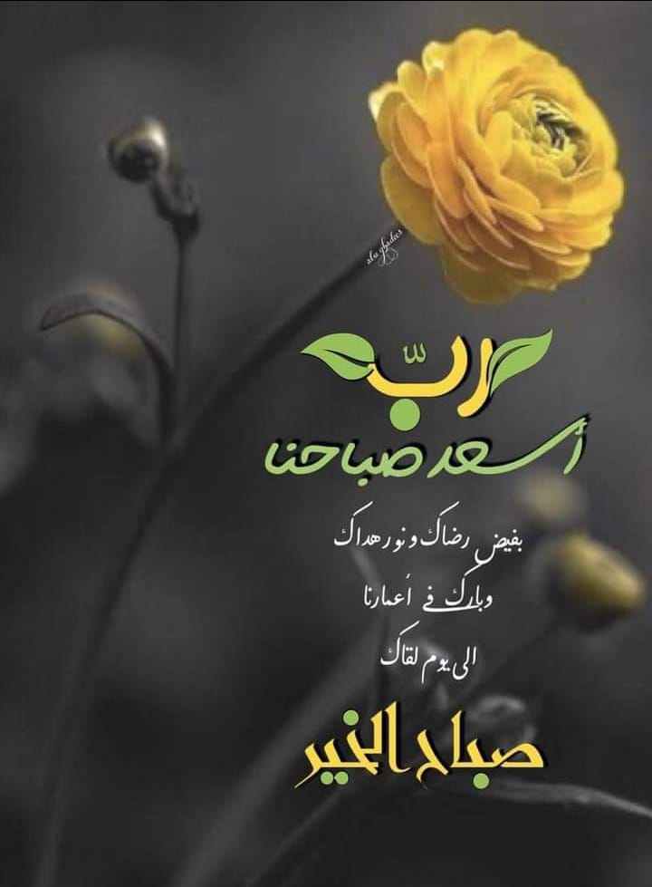 BnMunef's tweet photo. https://t.co/l5PIOI6wj4
