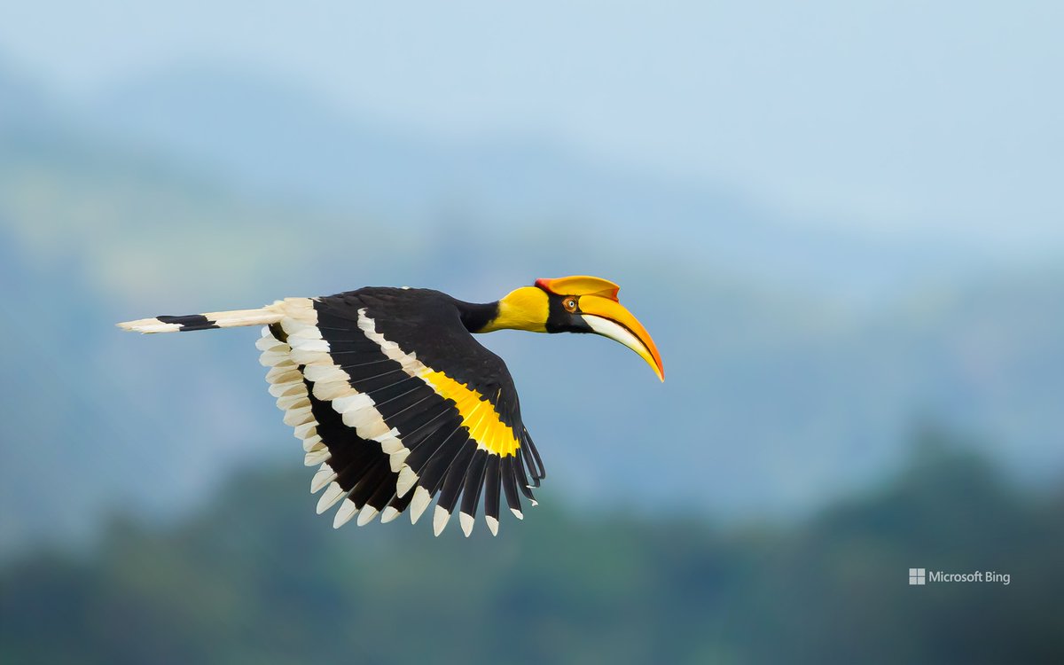 Günün Fotoğrafı (Bing)