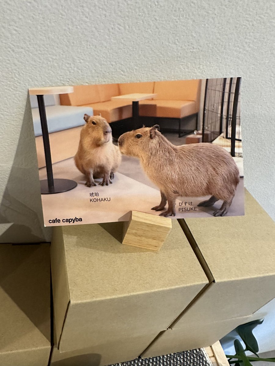 Nick Gray tweet media