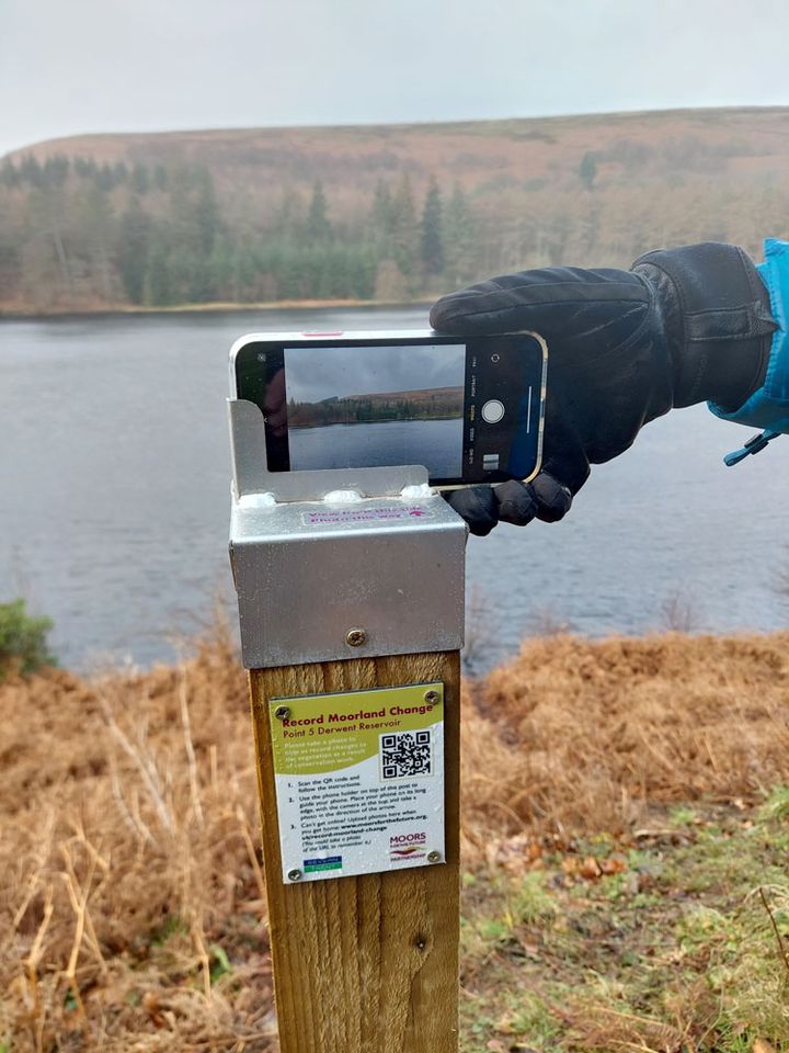 peakdistrict's tweet photo. Keep an eye out for these fixed-point photography posts around the Derwent Valley. 📷

Take a photo and upload it so that @moorsforfuture can keep a record of the changes brought on by areas of clough woodland restoration.

👉 https://t.co/nkLym0txHP

@PeakDistrictNT @stwater https://t.co/JNNquDh10H