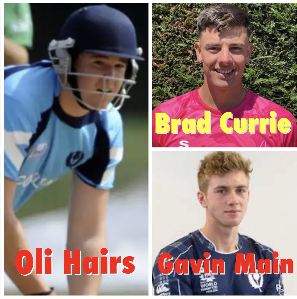 Scottish Cricket Past Present and Future tweet media
