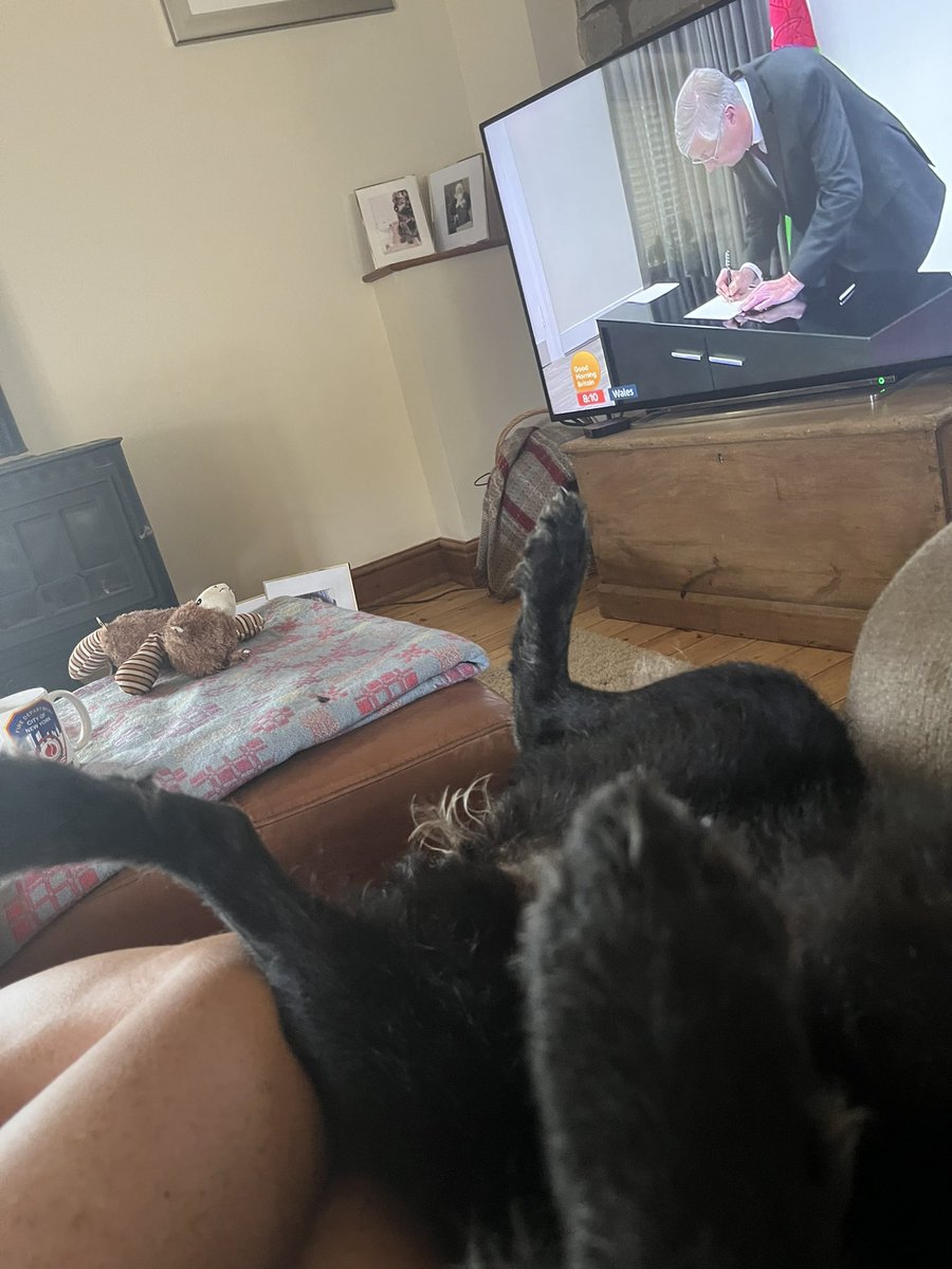 Duffle&MaisyPowell tweet media