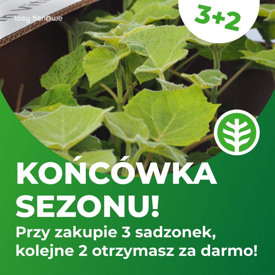Wielkie czyszczenie magazynu❗️

W naszym sklepie internetowym rusza promocja 3+2. Przy zakupie 3 sadzonek, 2 można otrzymać gratis! 😍

Kliknij tutaj, żeby przejść do naszego sklepu 👉 oxytree.pl/product/oxytre…

#drzewa #ogród #ogrodnictwo #rolnik #rolnictwo #ekologia #natura