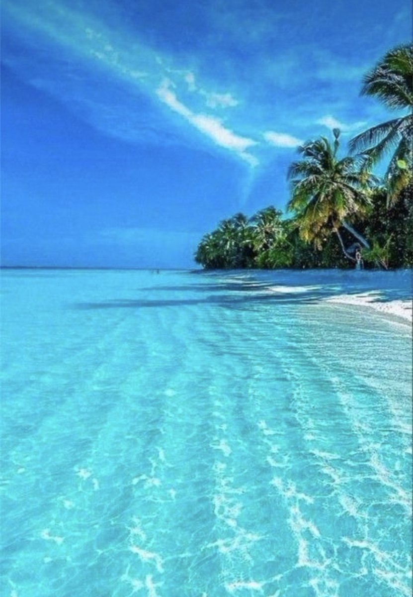 VieNatureSavoir's tweet photo. I wish you a happy tuesday🌴🌞🌴
have a nice summer everyone💙🍹💙 https://t.co/UsPmxL4X9K