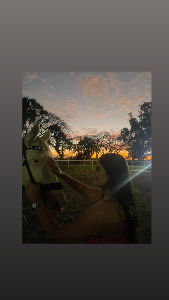 Kajalchouhan007's tweet photo. All journeys have secret destinations of which the traveler is unaware…🐎🐎
.
.
.
.
.
.
.
.
#mauritius🇲🇺 #mauritius_explored #paradise #pamplemousses #animalovers #enjoyeverymoment❤️ https://t.co/EJQuOHR5dc
