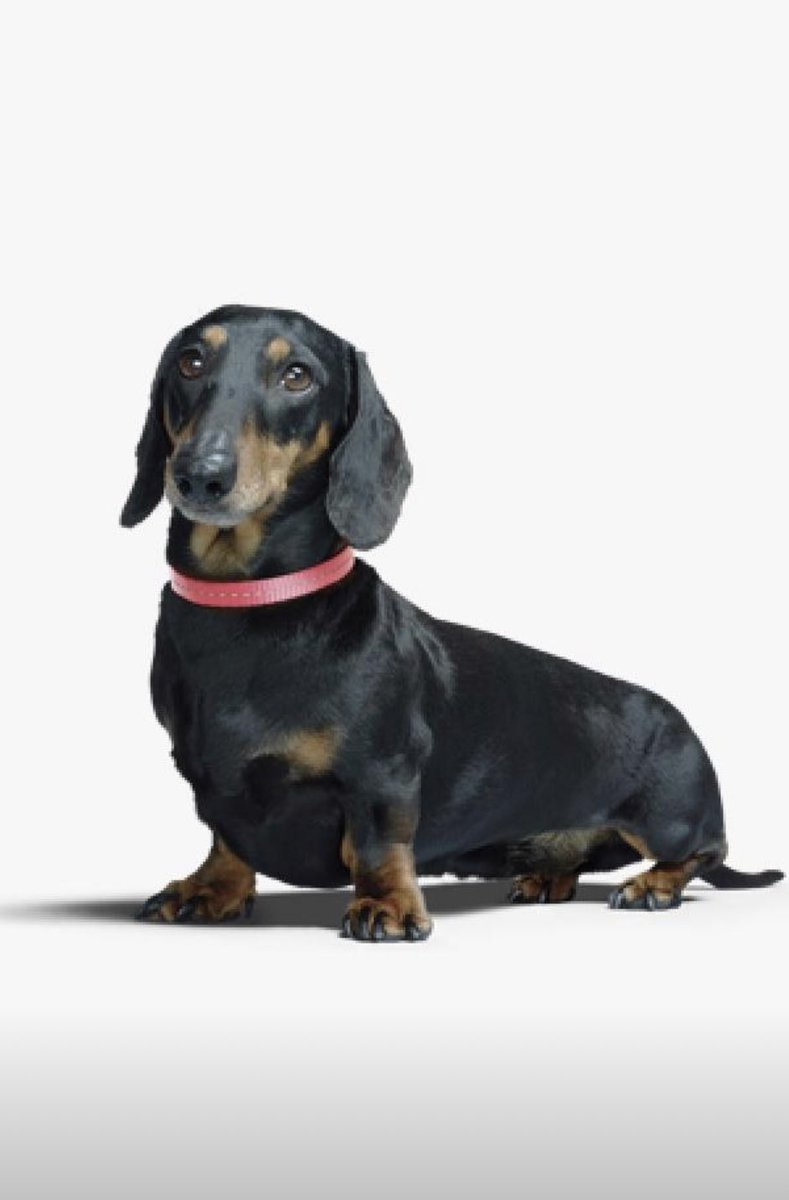 Andy Philo tweet media