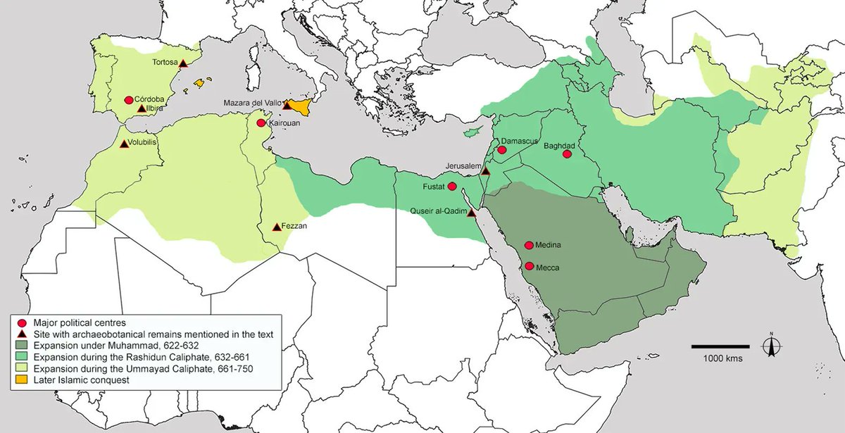 NEW map of Islamic expansion in the Mediterranean from the 7th-8th centuries (and some later!)

It has often been thought that Islamic expansion caused a 'green revolution', through the introduction of new crops and agricultural techniques to regions under Muslim rule 1/3