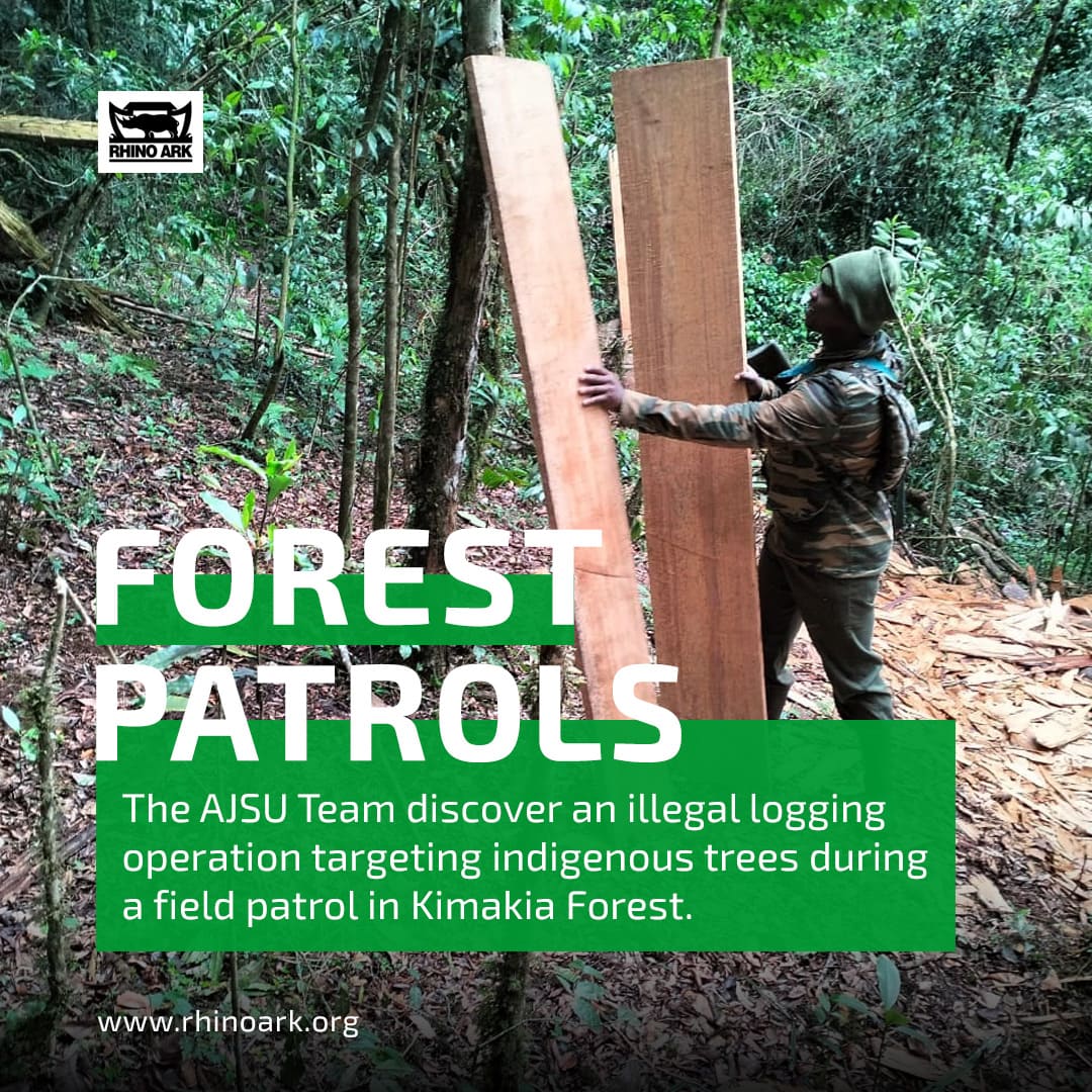 Deforestation not only degrades the forest habitat but also contributes to climate change, disrupts water cycles, and jeopardizes the livelihoods of local communities who depend on the forest for sustenance. 

#deforestation #illegallogging #rangerpatrol #RhinoArkOperations #KOT