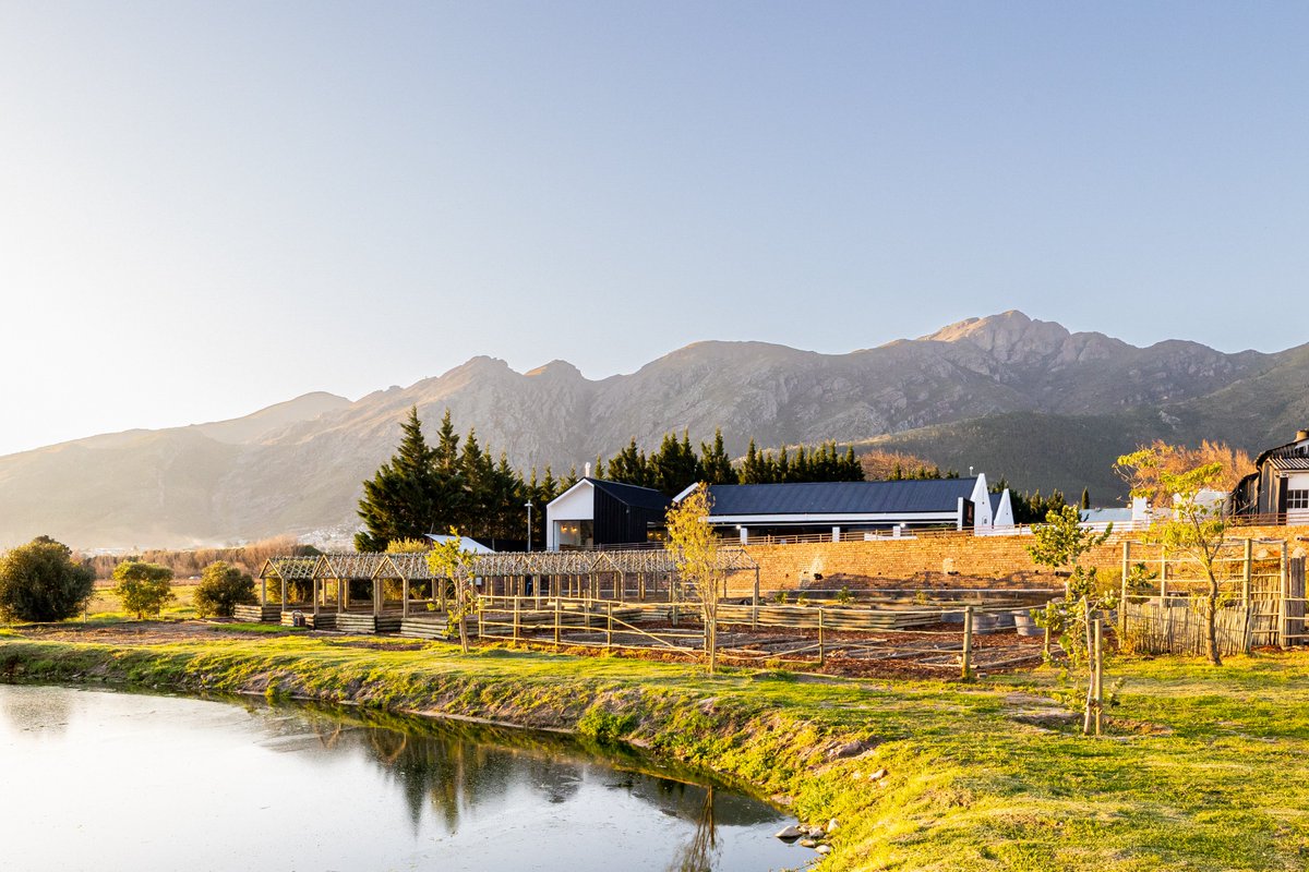 Congratulations to Backsberg Family Wines for achieving a 'PAS 2060:2014' accreditation in Carbon Neutral Wine Farming. Read more here: thewinegirlcapetown.co.za/backsberg-achi… @Backsberg