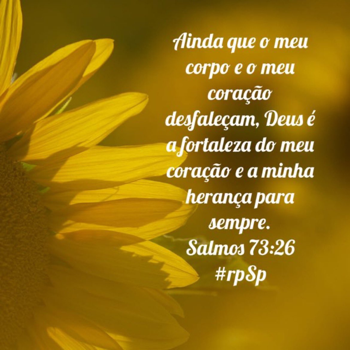 jeanetepinto's tweet photo. #Sl73|A despeito das incertezas ou da amargura do coração, Deus sustenta e ajuda a prosseguir os que nEle confiam! #rpSp https://t.co/sQbi42owma