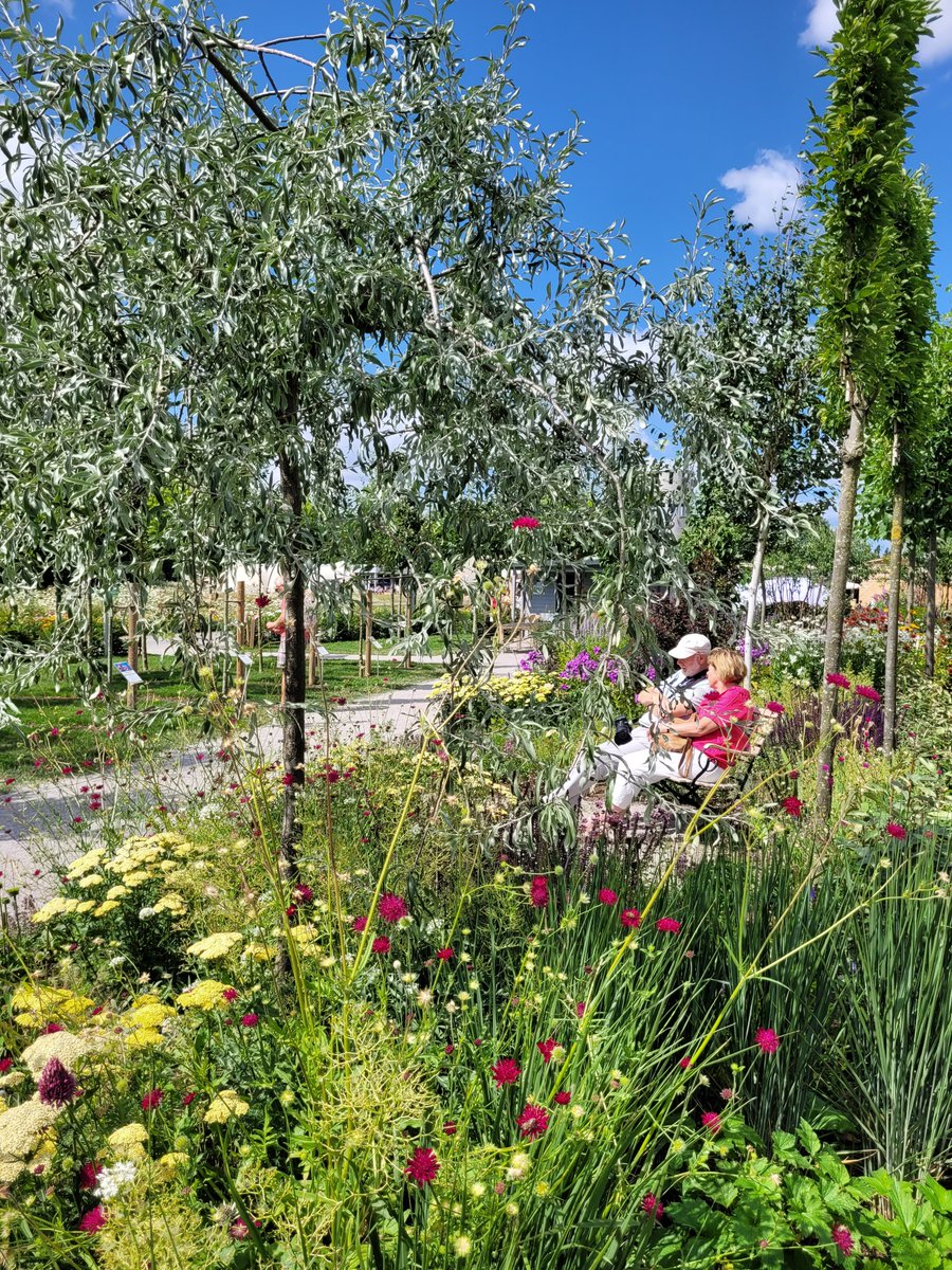 Unsere Pflanzen und Bäume stehen nun in voller Pracht😍  Schaut doch mal vorbei 🙋🙋‍♀️ Mehr Infos zum Ausstellungsbeitrag findet ihr unter baumschulverbandnrw.de #baumschule #gartenbaumschule #gärtner #gärtnerin #landesgartenschauhöxter #nrw