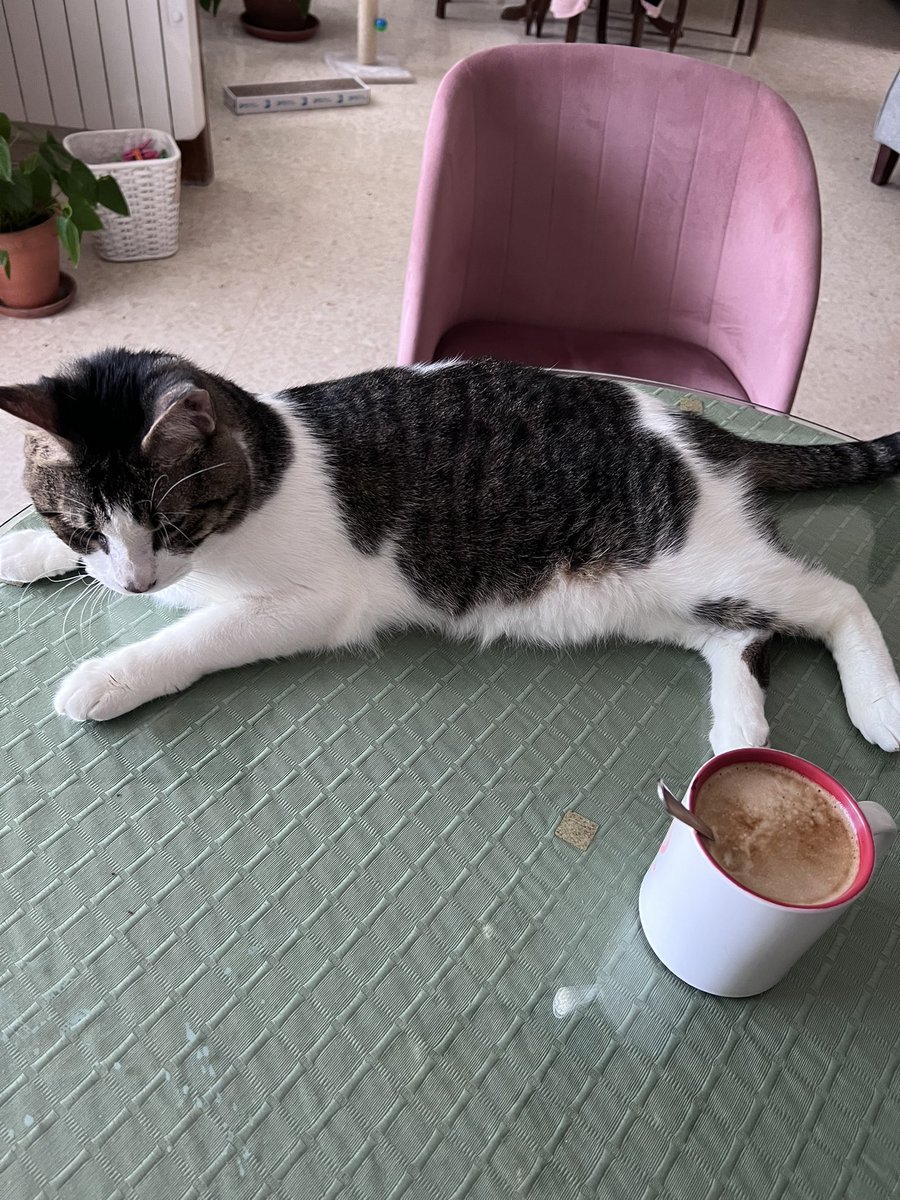 begoodgarcia's tweet image. #PepeTheCat y el acoso.