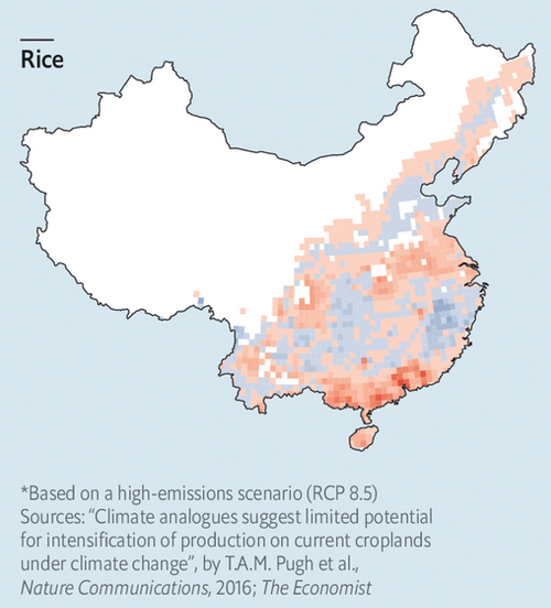 AgatheDemarais's tweet photo. 🇨🇳 - Climate change will have negative impact on China's agricultural production
• Chinese government believes that droughts could reduce yields of maize, wheat and rice by 8% by 2030
• China's example illustrates how global warming will fuel global food insecurity https://t.co/ttG0MV7PQY