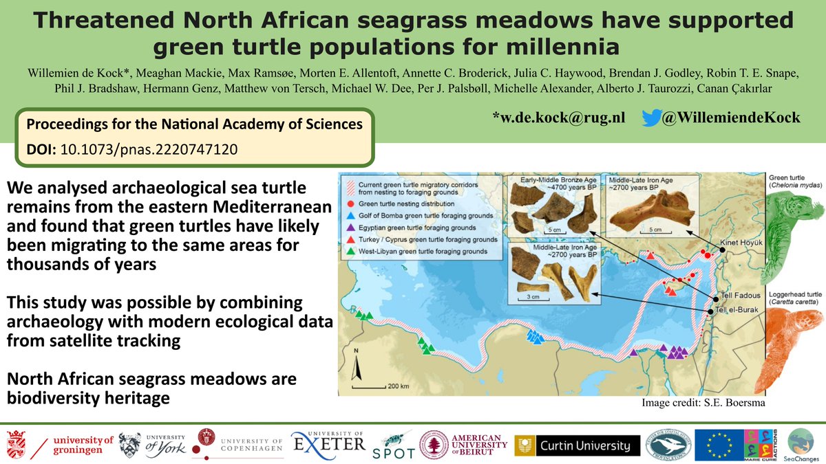 Willemien de Kock tweet media