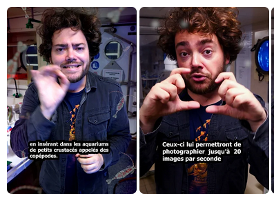 CNRS Terre & Univers (@cnrs_insu) on Twitter photo Et pour ceux qui se réveillent
b̵i̵e̵n̵ ̵a̵p̵r̵è̵s̵ ̵l̵'̵h̵e̵u̵r̵e̵ ̵d̵e̵ ̵l̵'̵a̵p̵é̵r̵o̵
trop tard
Ils peuvent regarder les shorts du journal de bord de la mission <a href="/APERO_cruise/">APERO Cruise</a>
une collaboration <a href="/Melvak_/">🐬 Melvak 🐬</a> / <a href="/CNRS/">CNRS 🌍</a>
youtube.com/watch?v=dBDVtP…
#CnrsOcean🌊 Et pour ceux qui se réveillent
b̵i̵e̵n̵ ̵a̵p̵r̵è̵s̵ ̵l̵'̵h̵e̵u̵r̵e̵ ̵d̵e̵ ̵l̵'̵a̵p̵é̵r̵o̵
trop tard
Ils peuvent regarder les shorts du journal de bord de la mission <a href="/APERO_cruise/">APERO Cruise</a>
une collaboration <a href="/Melvak_/">🐬 Melvak 🐬</a> / <a href="/CNRS/">CNRS 🌍</a>
youtube.com/watch?v=dBDVtP…
#CnrsOcean🌊