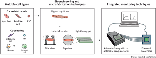 DMM_Journal's tweet photo. Looking for #WeekendReads to help you #muscle through?
Check out our freshest #DMMPerspective from the Ramon-Azcon team @Biosensors_IBEC:
📰https://t.co/RkYAplVUK0
#OpenAccess https://t.co/rxObTF1JQ6